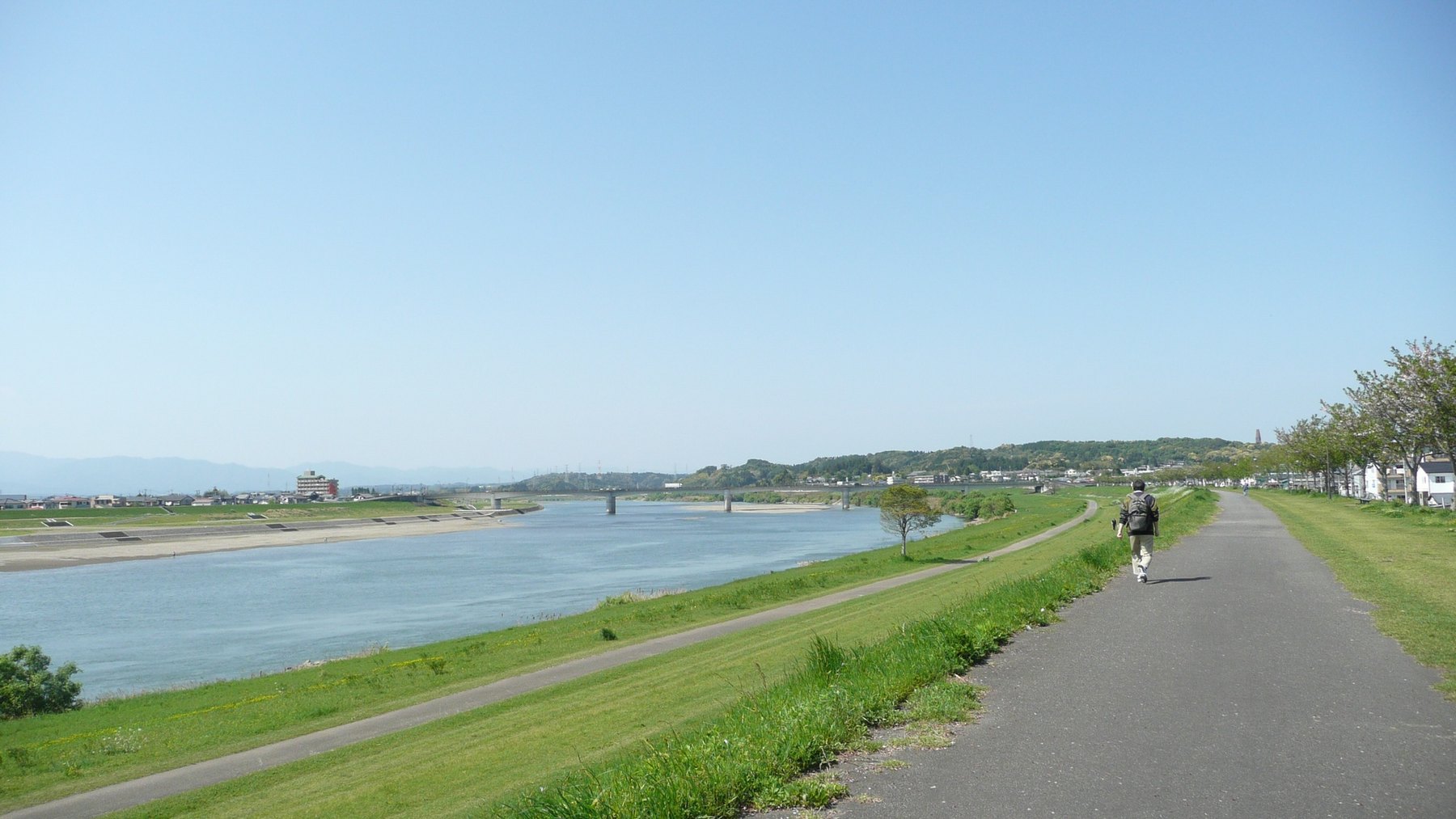 大淀川市民緑地につながる川沿いの風景
