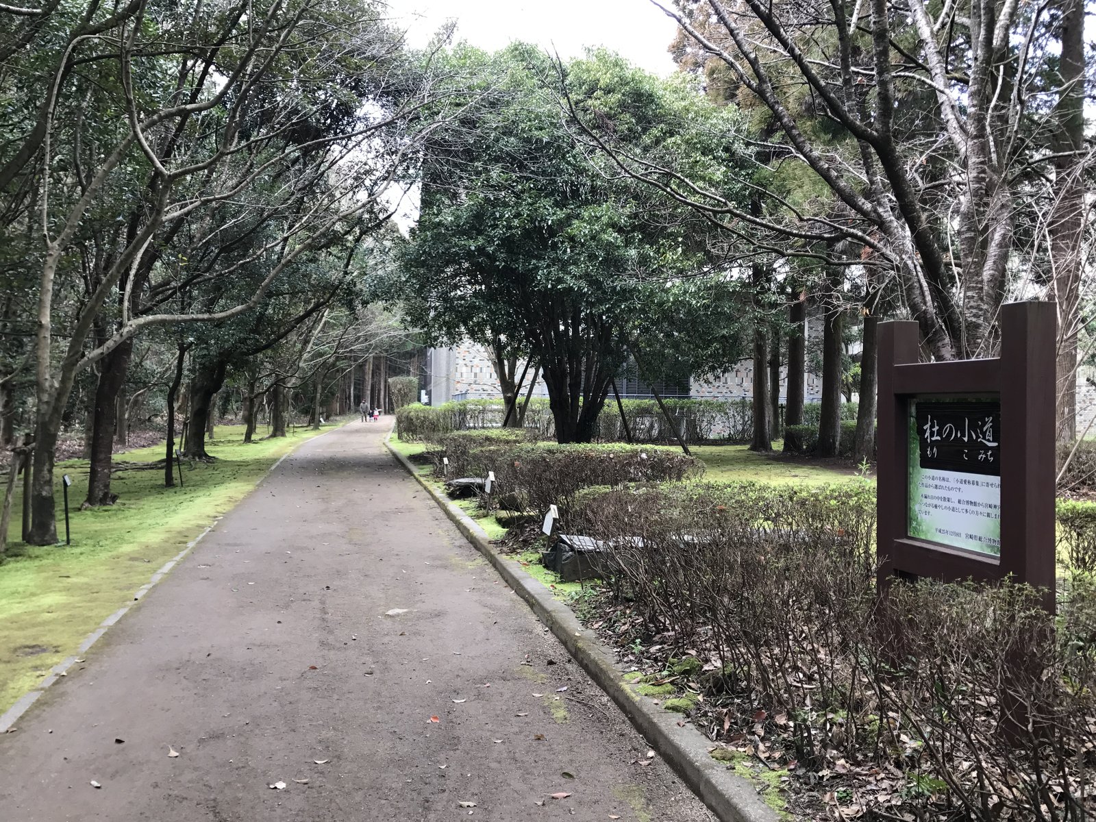博物館周辺の小道