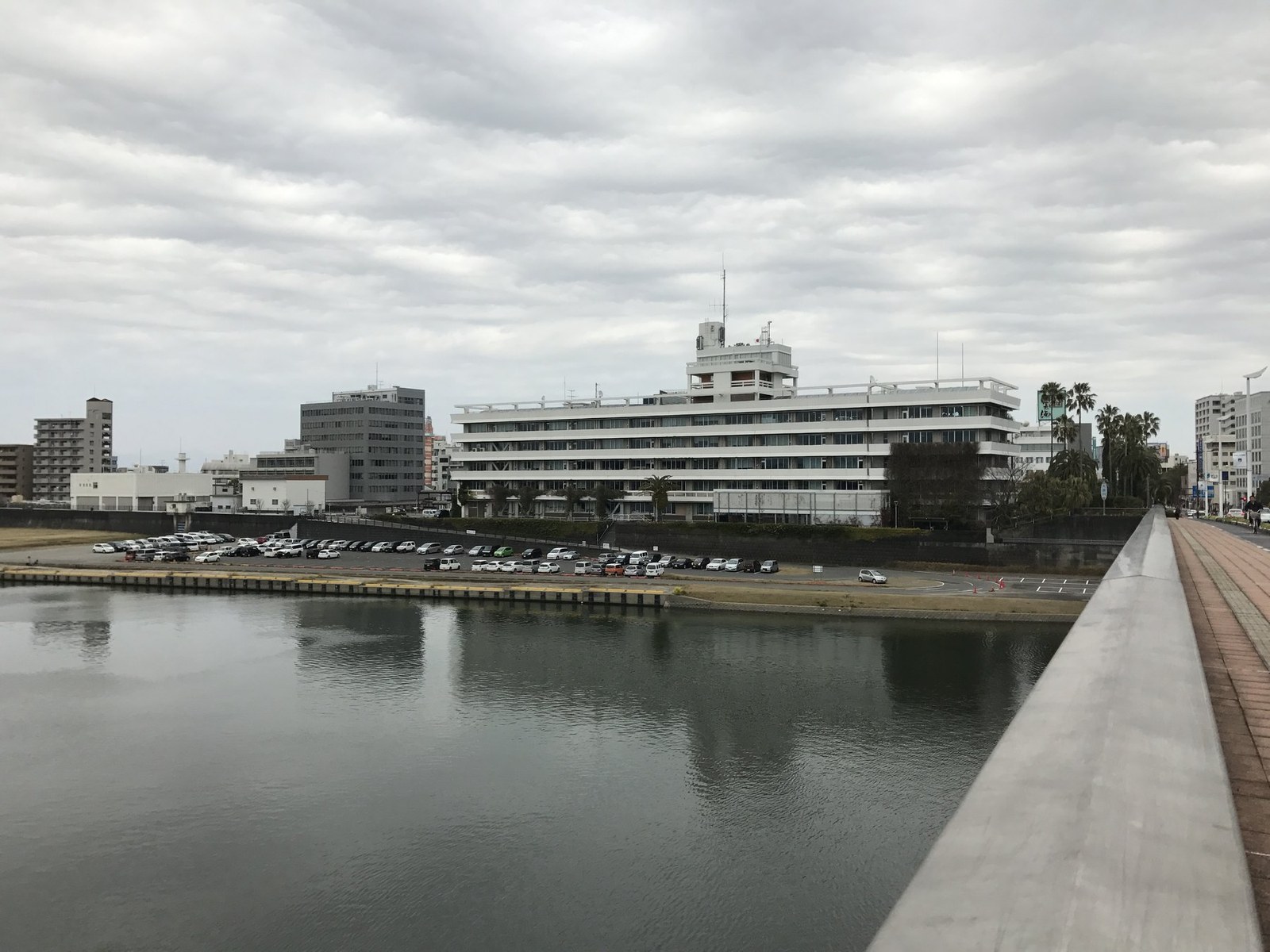 橘橋から見た宮崎市役所