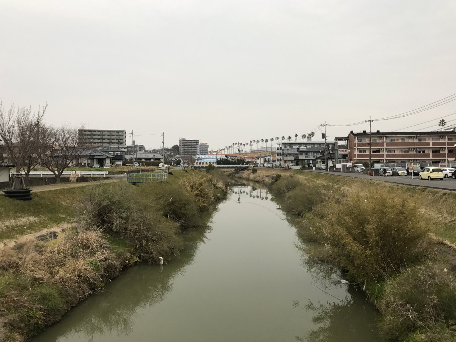 町前橋から見た八重川