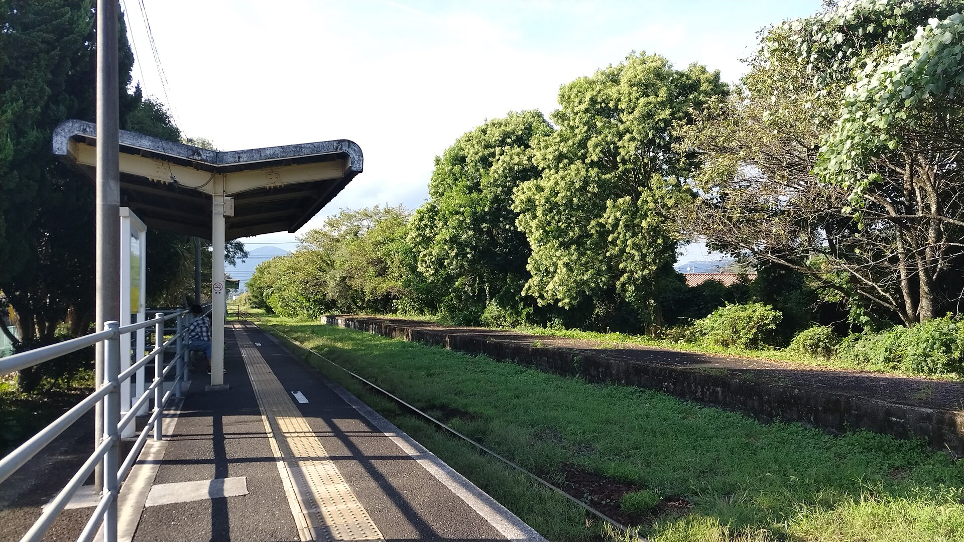 日南駅ホームから見える緑
