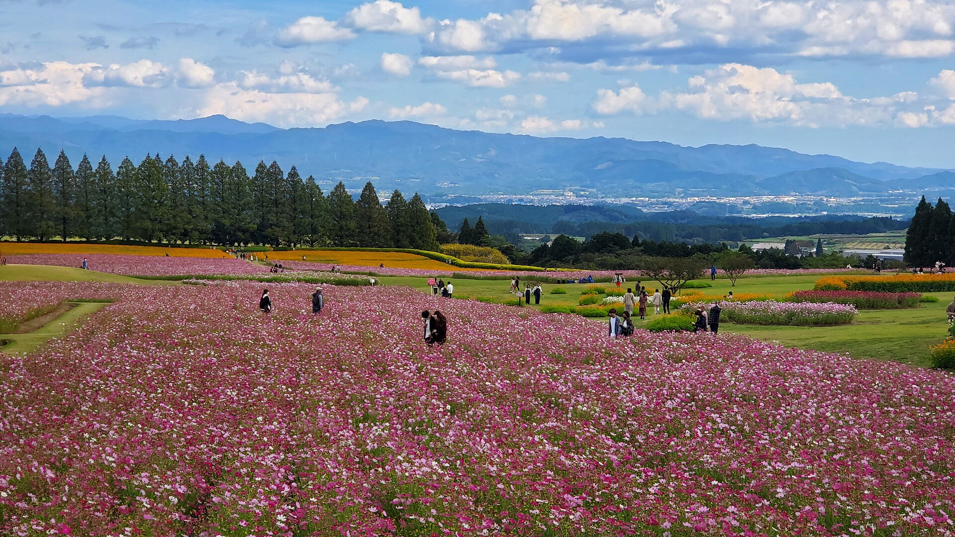 生駒高原から見た小林盆地方面