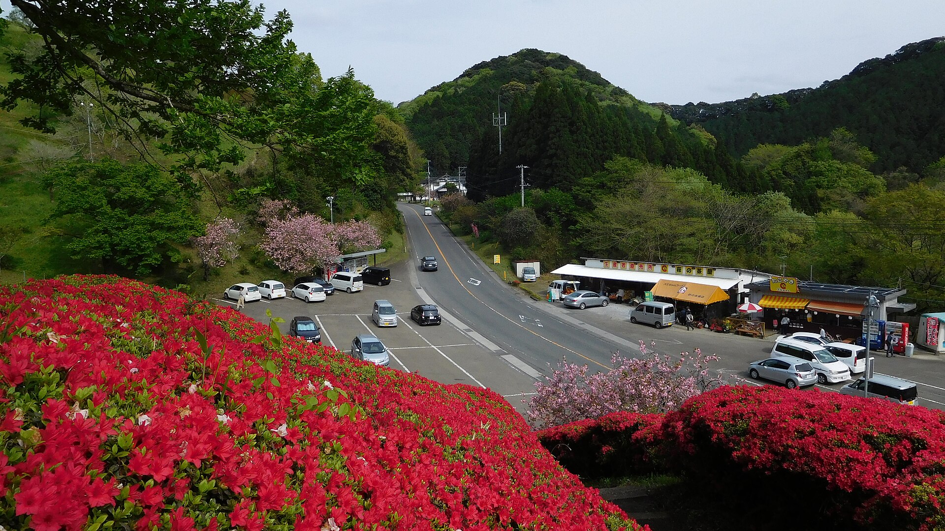 萩の茶屋の丘から見下ろす国道268号