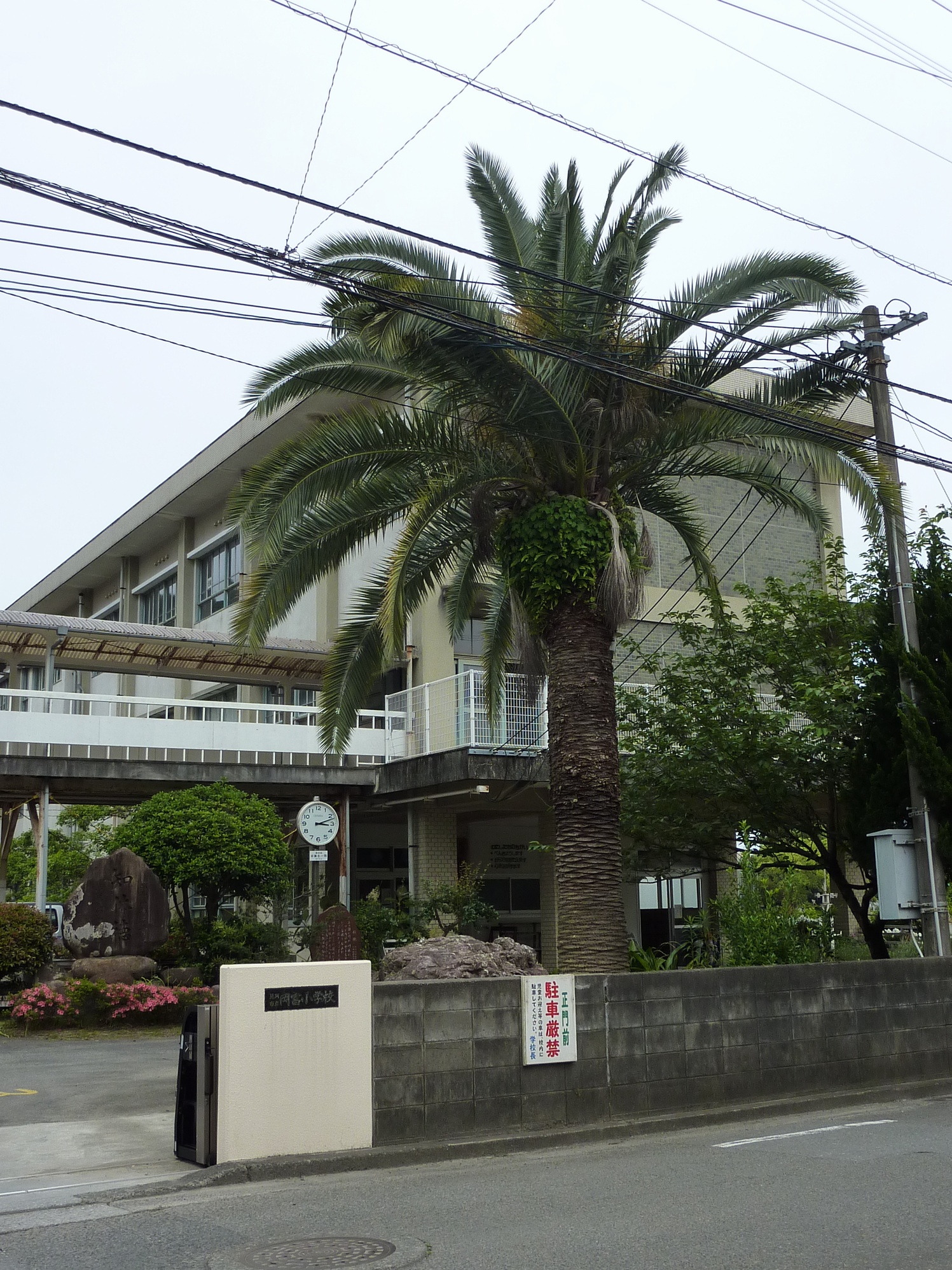 岡富小学校