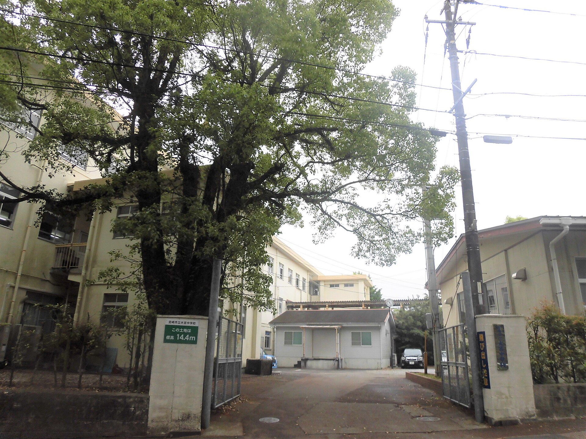 宮崎市立大宮中学校