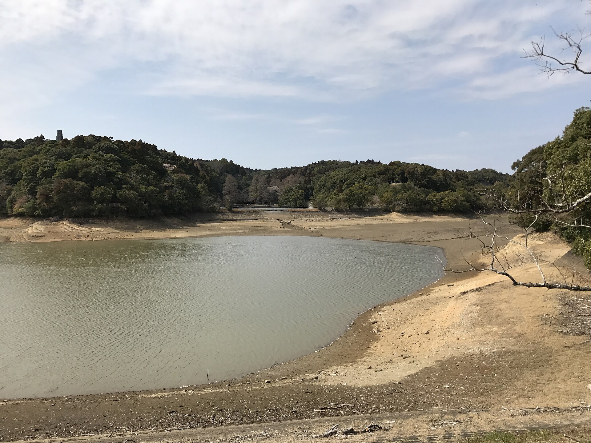 新池と丘の緑
