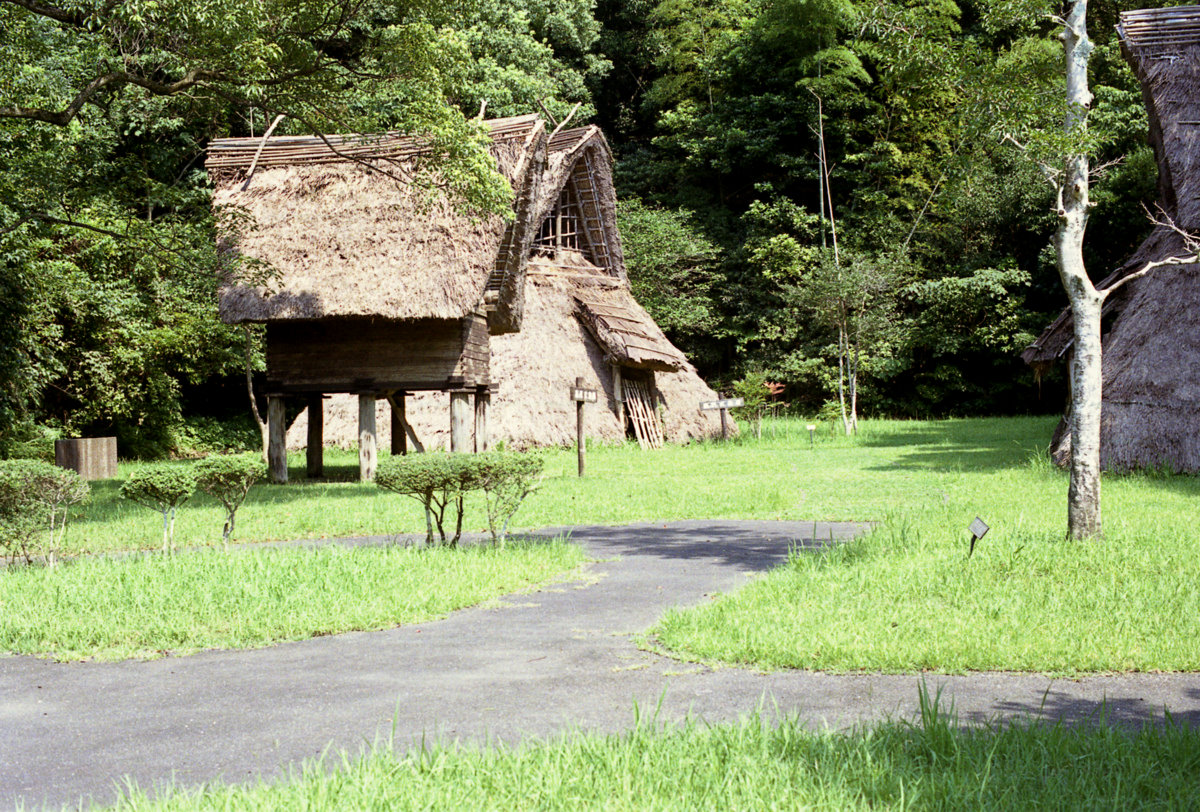 蓮ヶ池史跡公園の復元建物