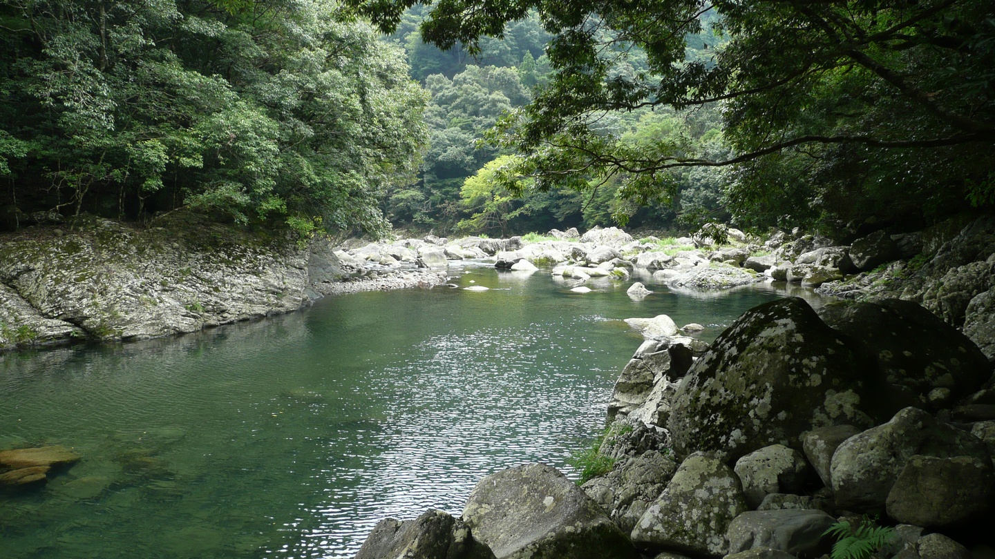 本庄川(綾南川)の渓流