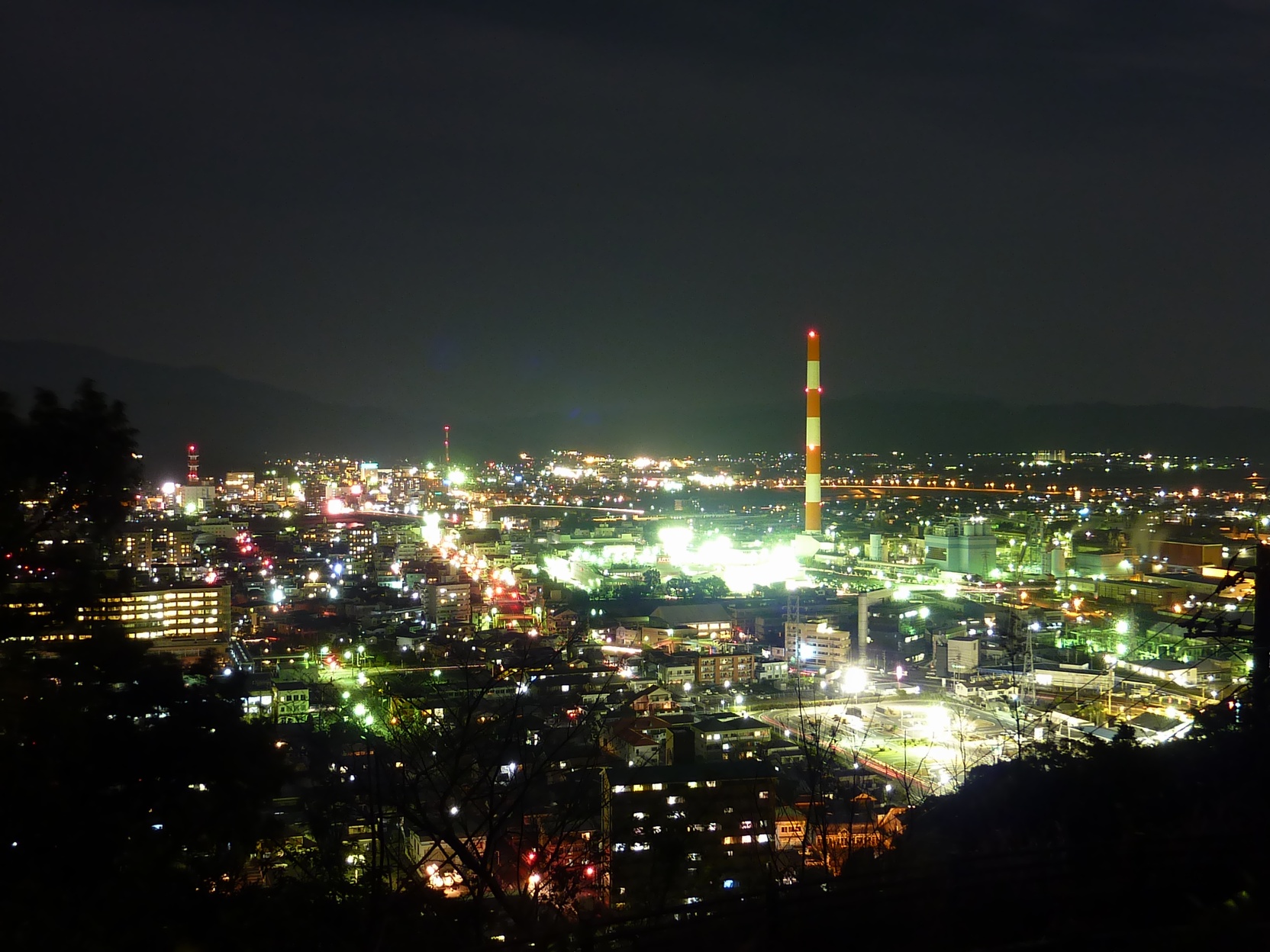 愛宕山から見た延岡の夜景